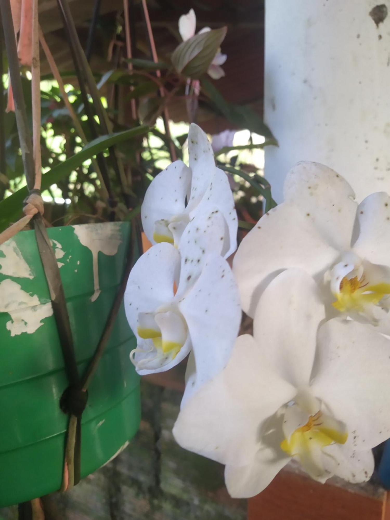 Eco Aldea Topacio 萨赛马 外观 照片